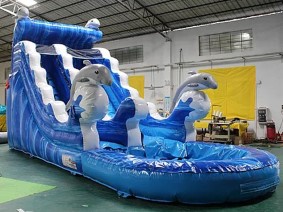 Dolphin Water Slide.