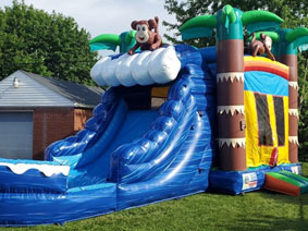 Funky Monkey Wet/Dry Combo inflatable.