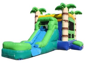 Palm Tree Combo Bouncer/Slide.