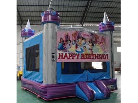 Disney Princess Bounce House.